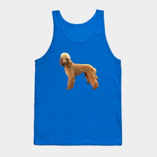 Poodle Apricot Beauty Tank Top